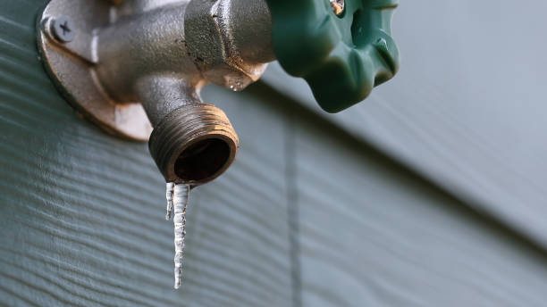 Best Water Leak Repair  in Butler, IN
